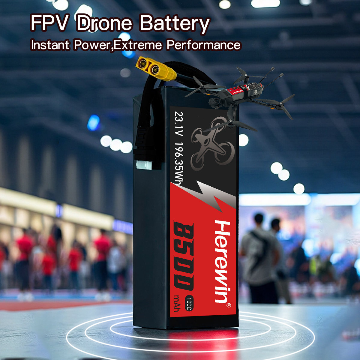 Herewin 100C 6S 23.1V 8500mAh (8)