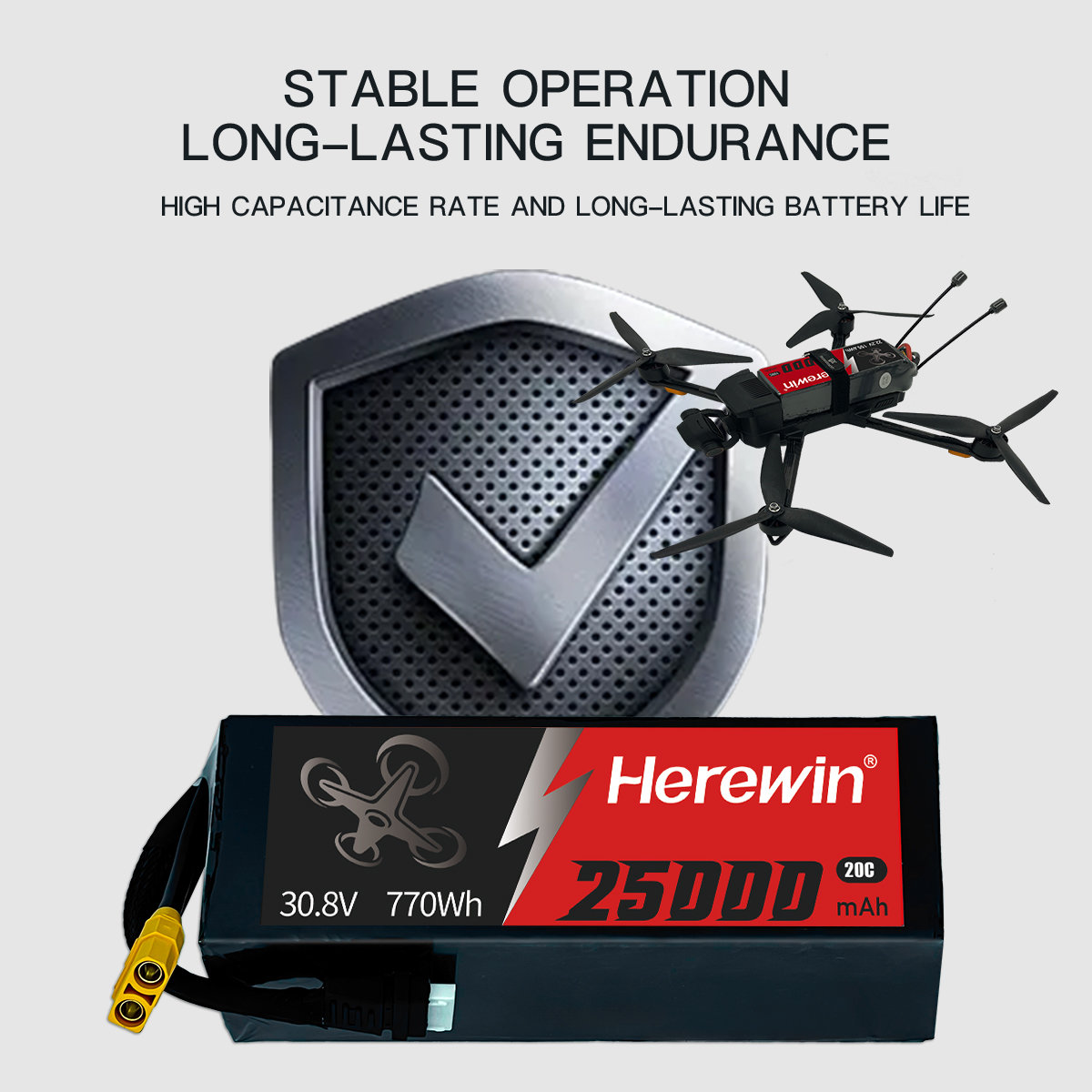 Herewin 20C 8S1P 30.8V 25000mAh (6)