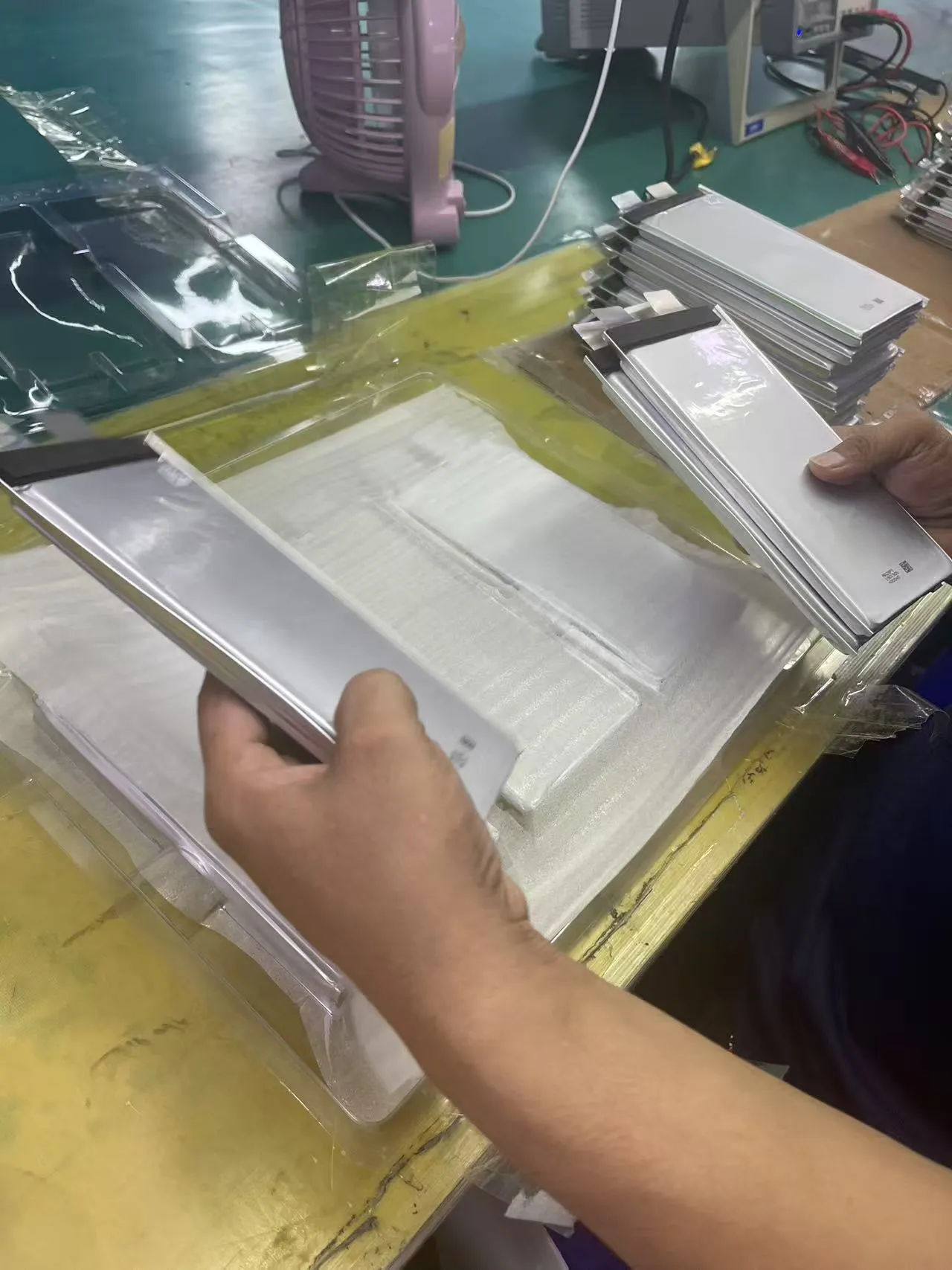 Step2：Cell-Visual-Inspection