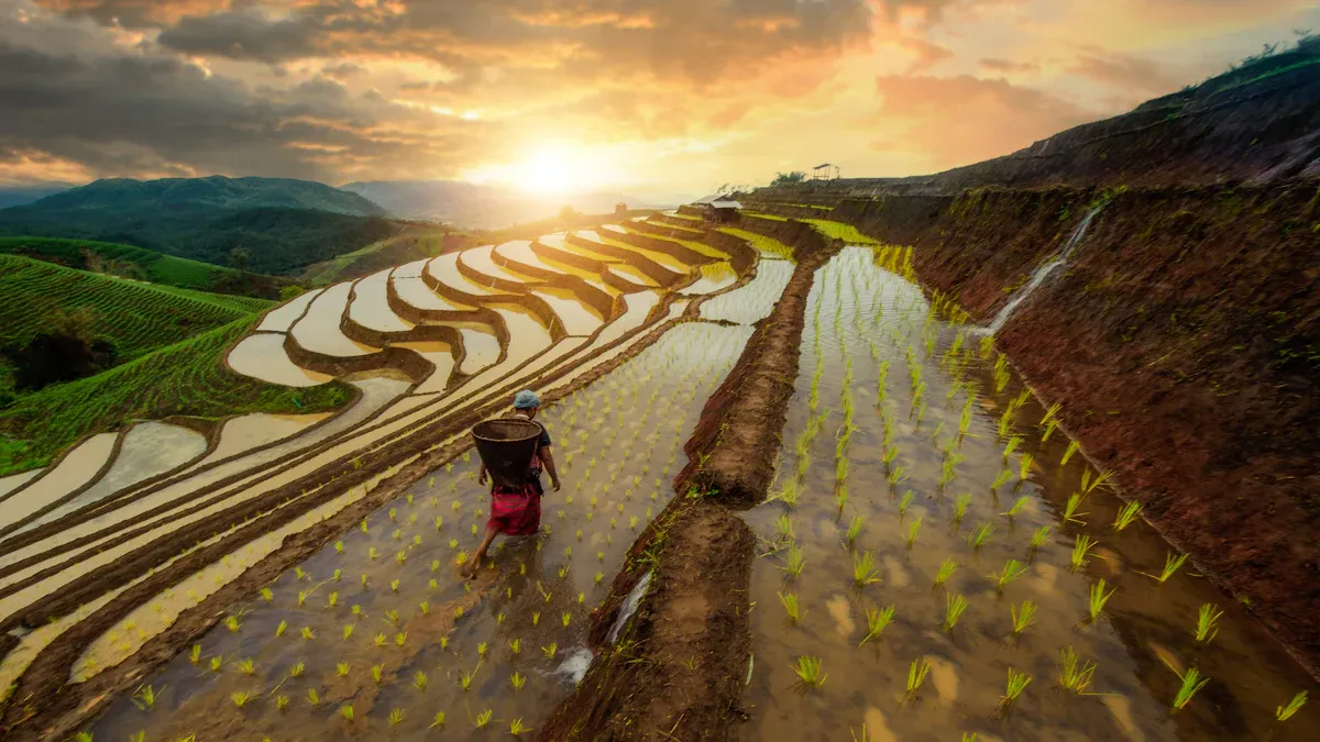Smart Farming and Agricultural Drones in Thailand