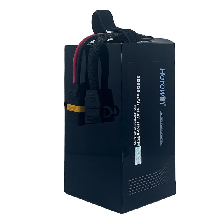 Herewin 12S1P 45.6V 25000mAh Fast Charging