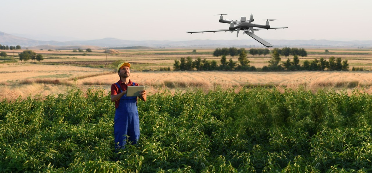 Powering Smart Farming in Thailand: Herewin Batteries for Agricultural Drones