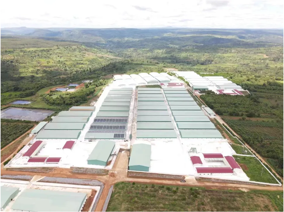Cambodia Banana Plant Backup Power