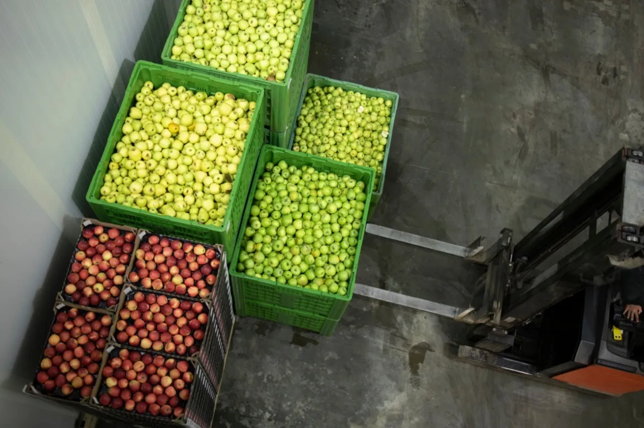 Fruit & Vegetable Processing Facility