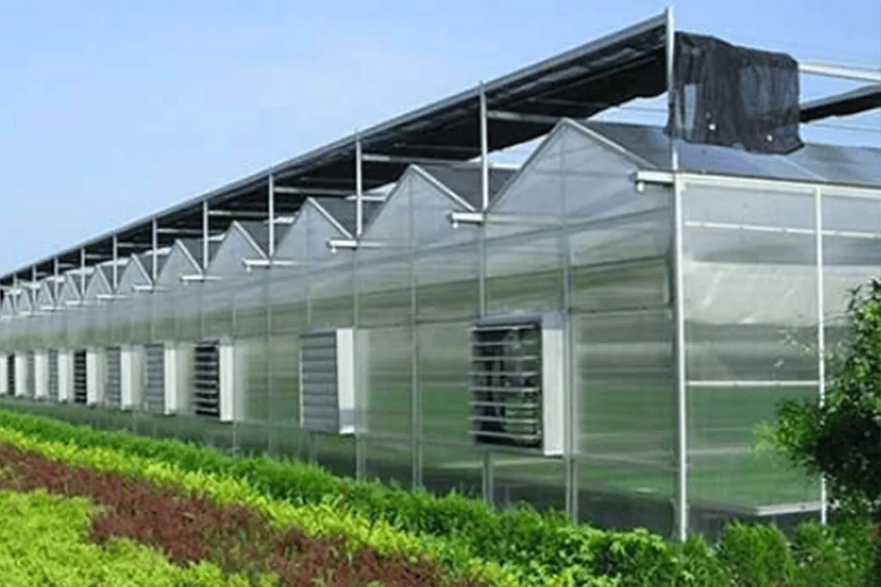 Home Greenhouse Temperature Control