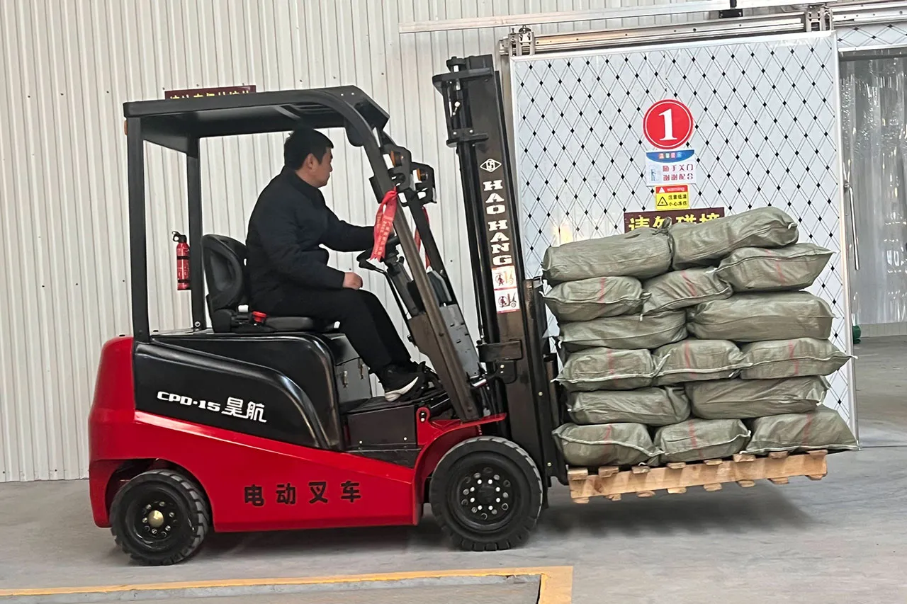 Warehouse & Logistics Forklifts