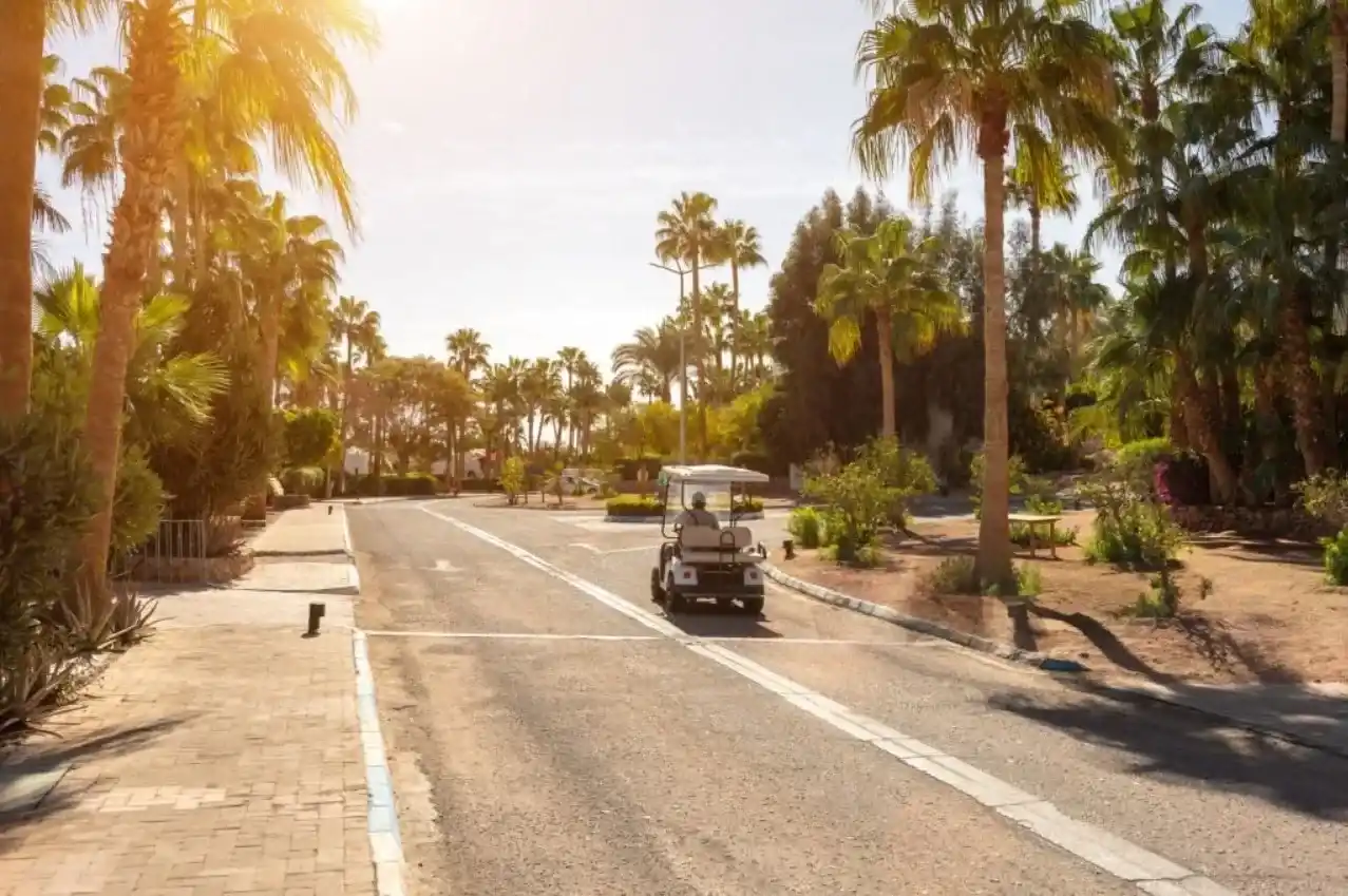 Electric Sightseeing Vehicle