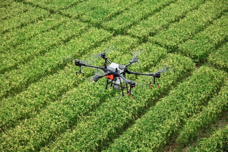 Agriculture Drone Battery Guide: Maximize ROI in Indonesia