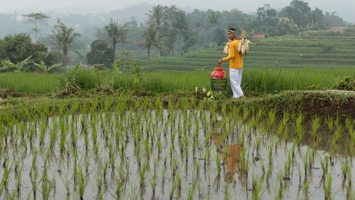 Engineering Standards for Indonesia'
                style=