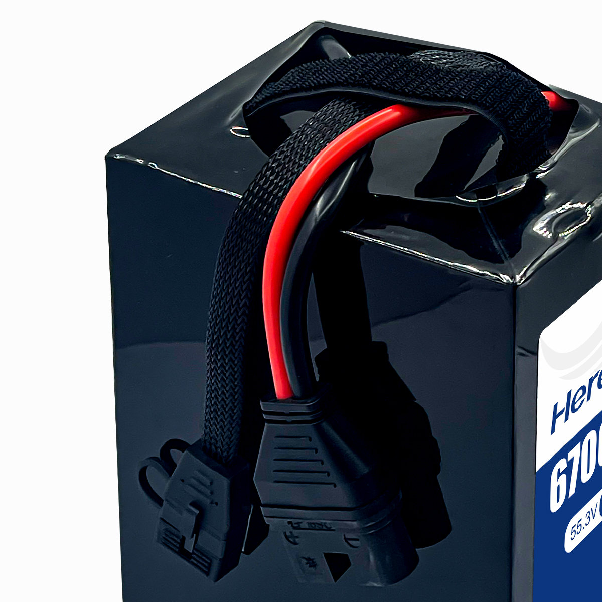 Herewin 10C 14S1P 55.3V 67000mAh (2)