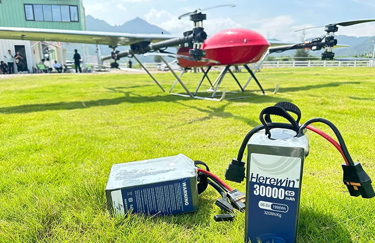Fixed-Wing Long-Endurance UAVs