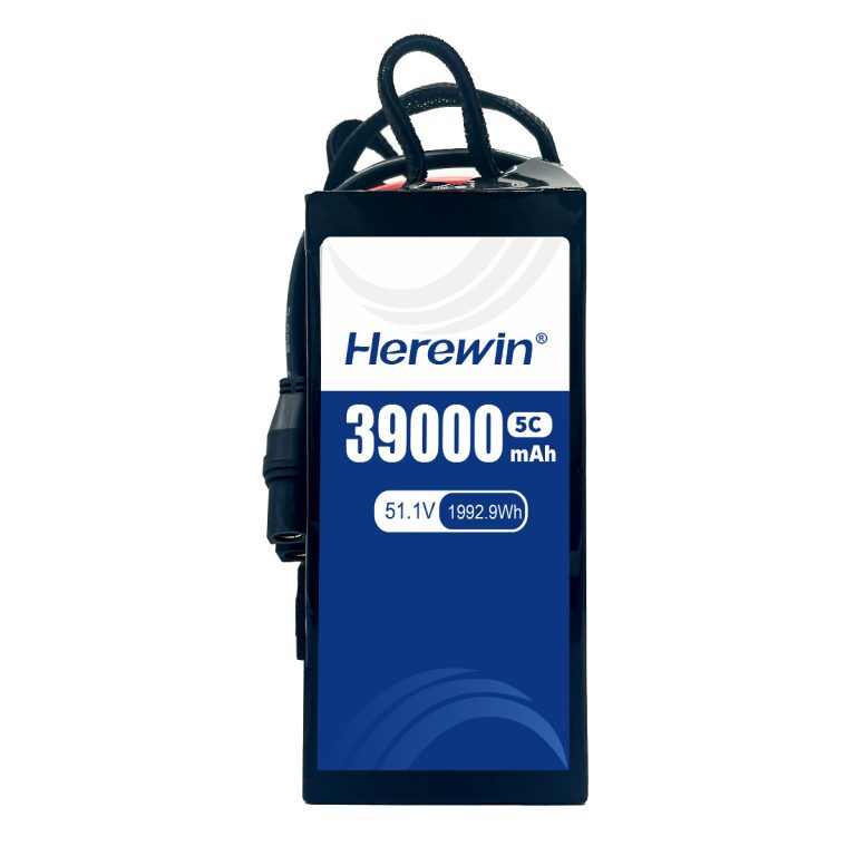 Herewin 51
